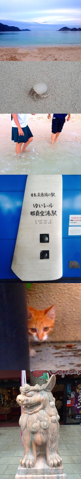 (169KB)